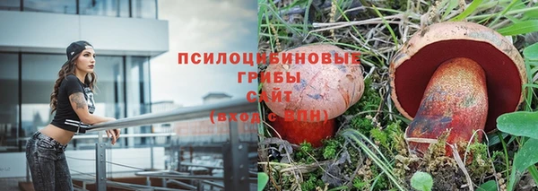 ECSTASY Кукмор