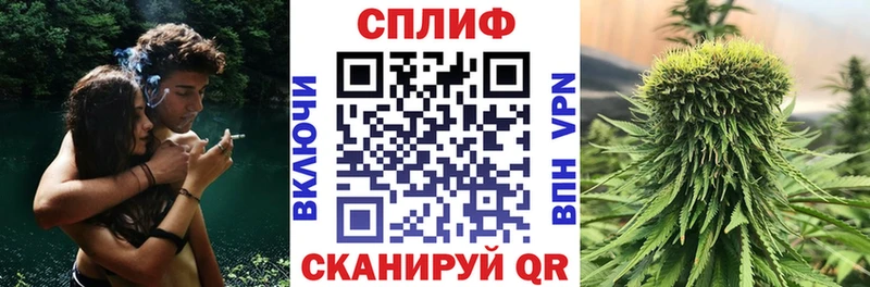 Купить где  Вятские Поляны  Бошки марихуана ГИДРОПОН 